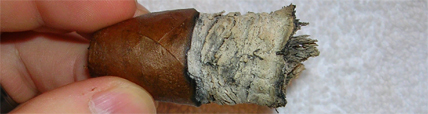 Nub Habano 464 - 5